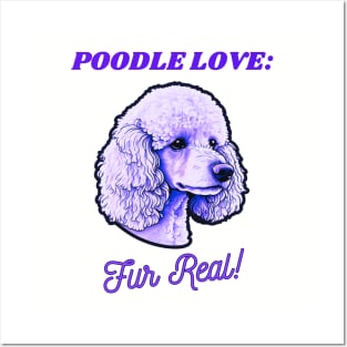 Poodle Love Posters and Art